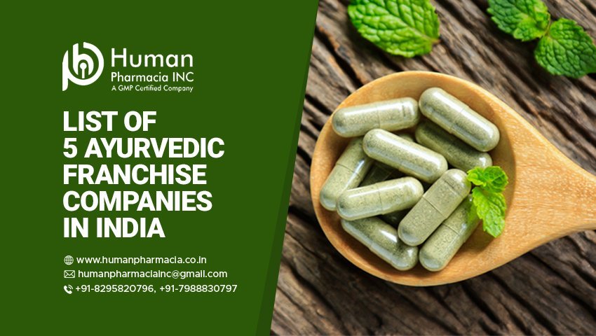 Top 5 Ayurvedic Franchise Companies list