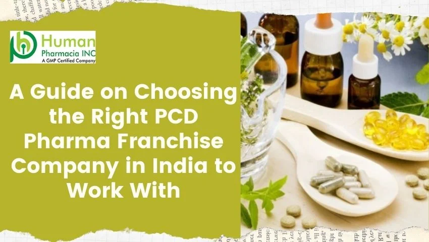 A Guide on Choosing the Right PCD Pharma Franchise Company in India to Work With