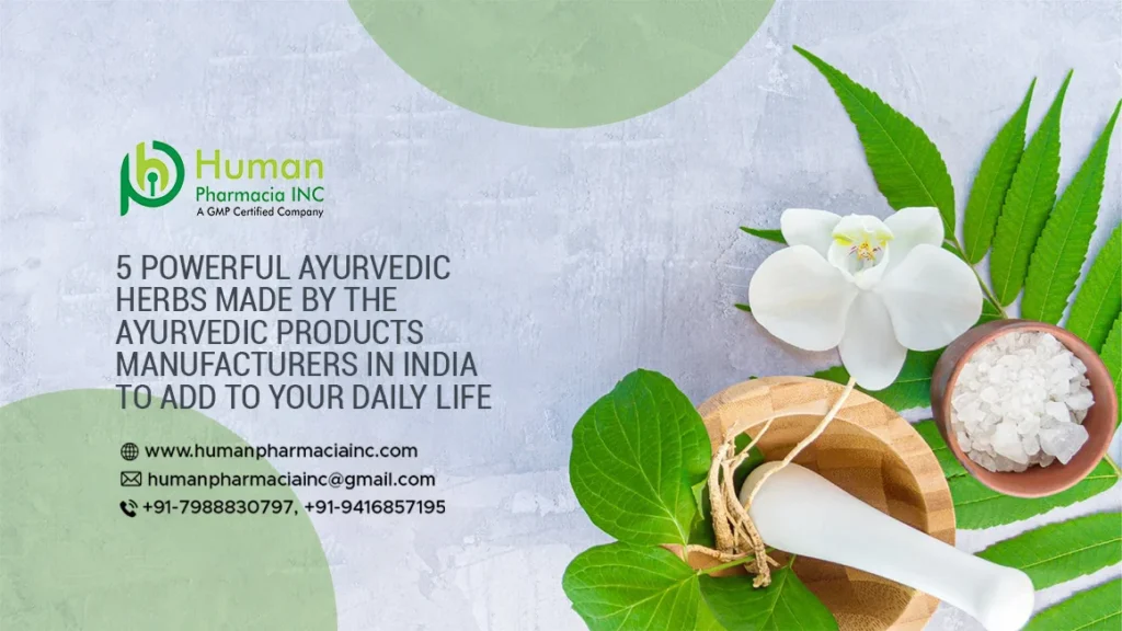 5 Powerful Ayurvedic Herbs or Products Made by the Ayurvedic Products Manufacturers in India To Add To Your Daily Life