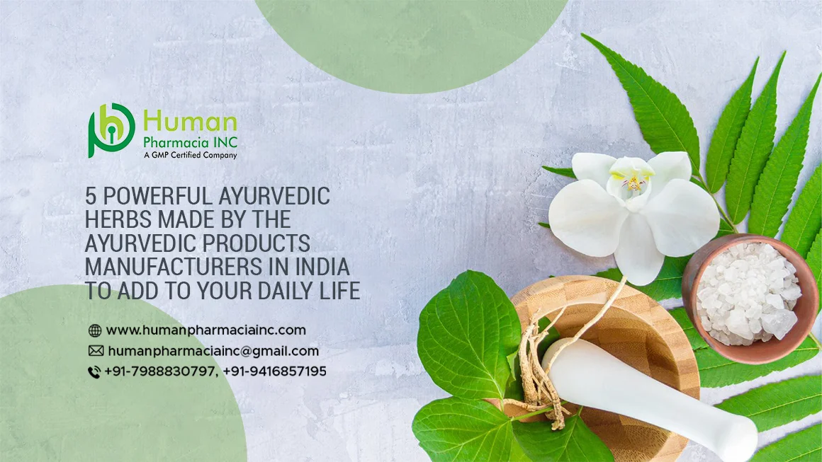 5 Powerful Ayurvedic Herbs or Products Made by the Ayurvedic Products Manufacturers in India To Add To Your Daily Life