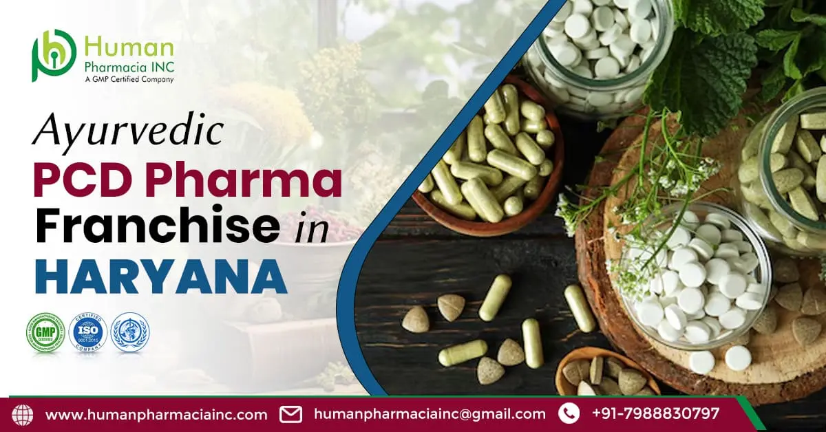 The business scope of the Ayurvedic PCD franchise in Haryana, and who gives the best services here?