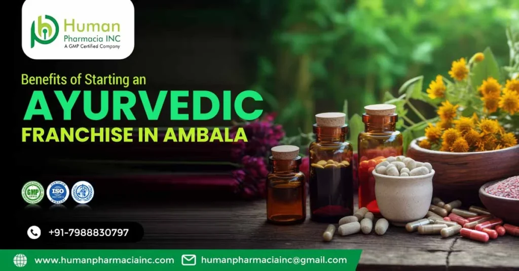 Benefits of Starting an Ayurvedic Franchise in Ambala
