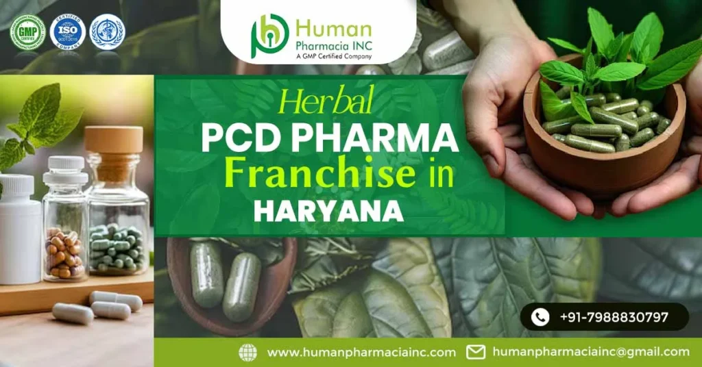 Who can offer the most demanded business model of a Herbal PCD franchise in Haryana?