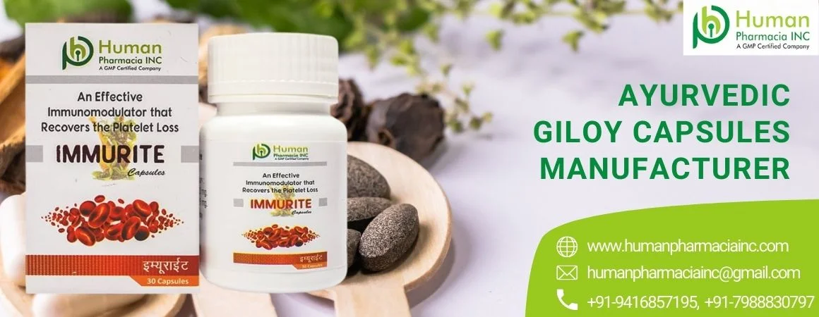 Ayurvedic Herbal Giloy Product Manufacturer in India
